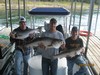 (09/30/2016) - Nice Striped Bass
